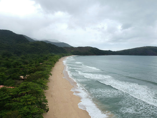 Three Shores, Three Moods: A Journey Through Coastal Fragrances