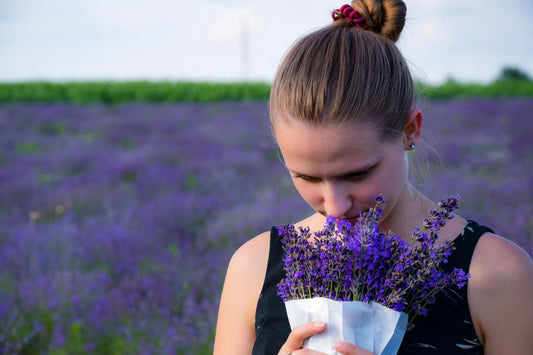 Our Olfactory System: How It Works