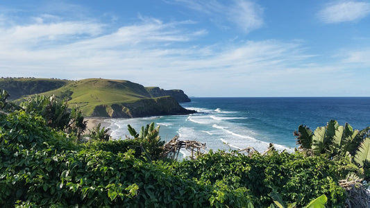 Wild Coast: Untamed Beauty captured in a sole fragrance